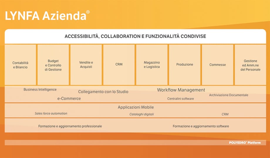 LYNFA AZIENDA il migliore software gestionale Teamsystem aziendale - programma gestionale aziendale